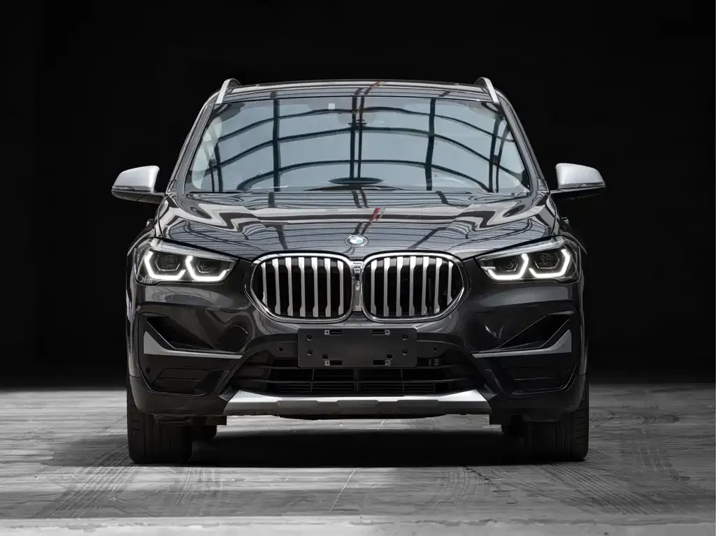 BMW X1 — фото 8