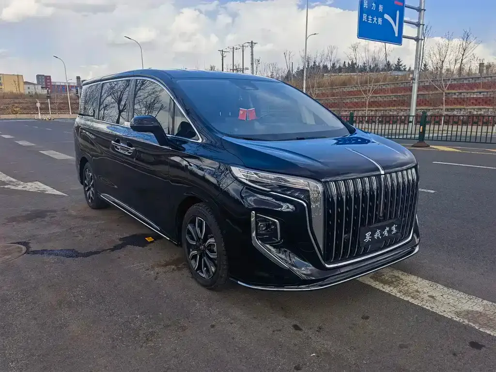 Hongqi HQ9 — фото 10