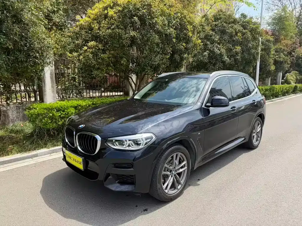 BMW X3 — фото 1