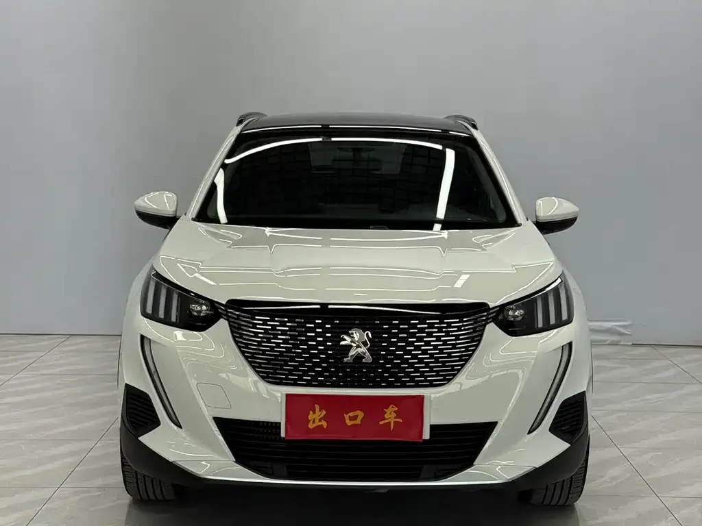 Peugeot 2008 2022 из CN, фото 6