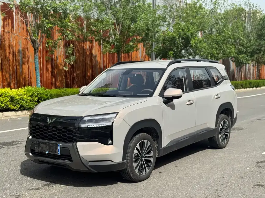 Wuling Starlight 560