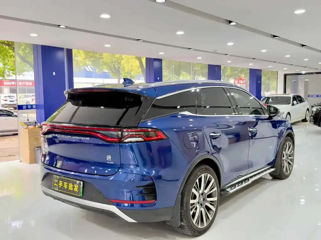 BYD Tang New Energy — фото 10