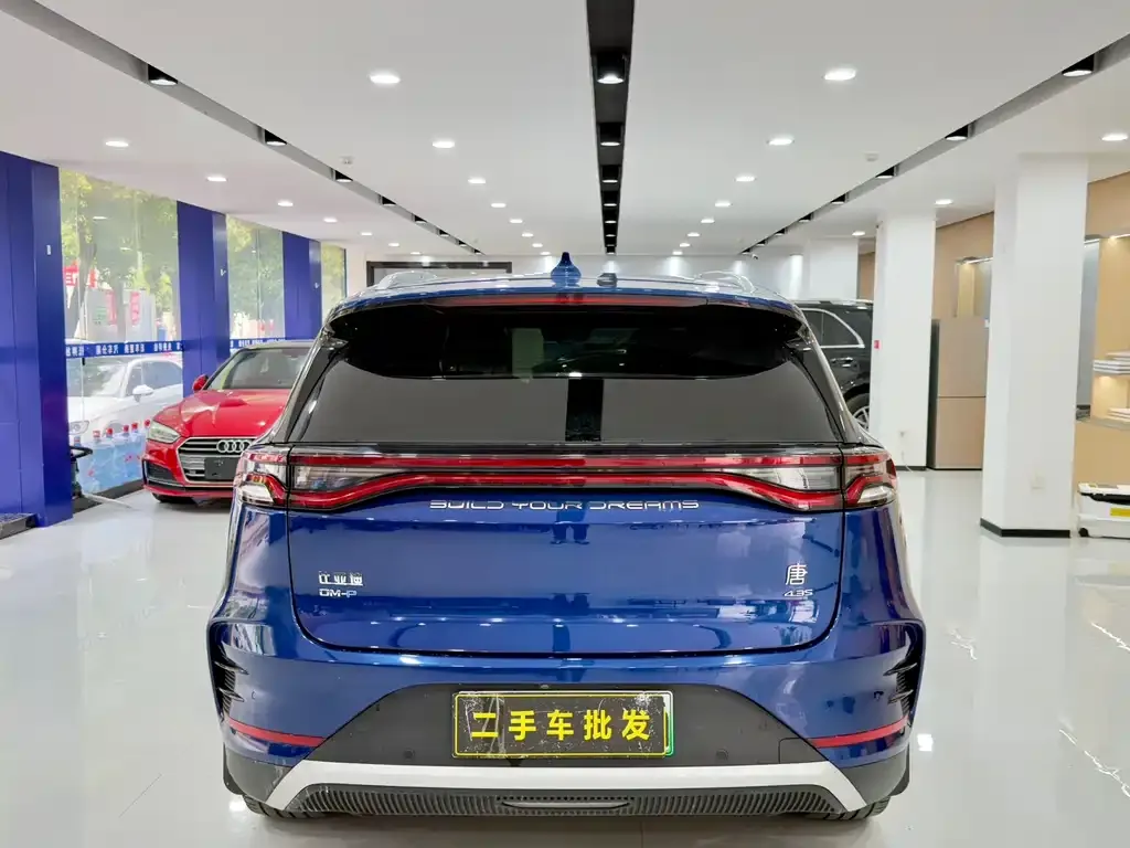 BYD Tang New Energy — фото 7