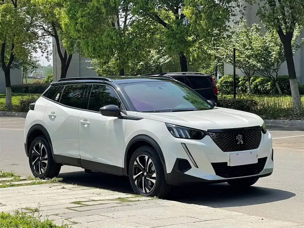Peugeot 2008 2022 из CN, фото 6