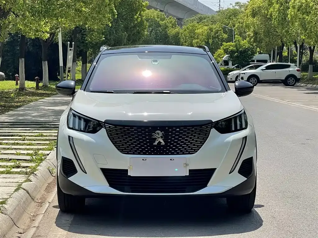 Peugeot 2008 2022 из CN, фото 4
