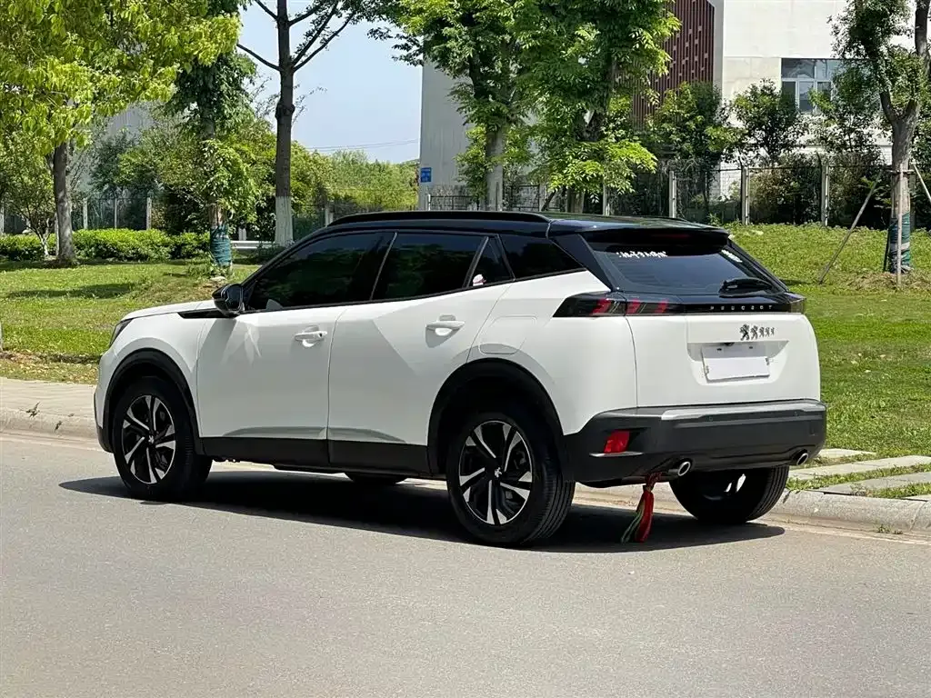 Peugeot 2008 2022 из CN, фото 8