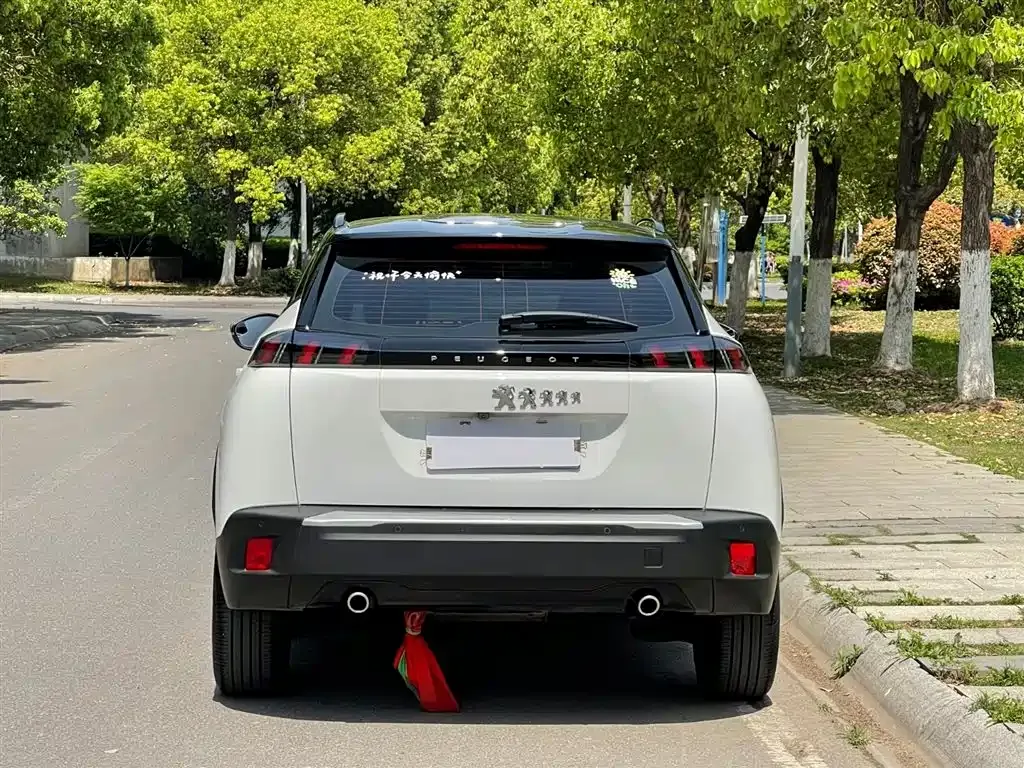 Peugeot 2008 2022 из CN, фото 10