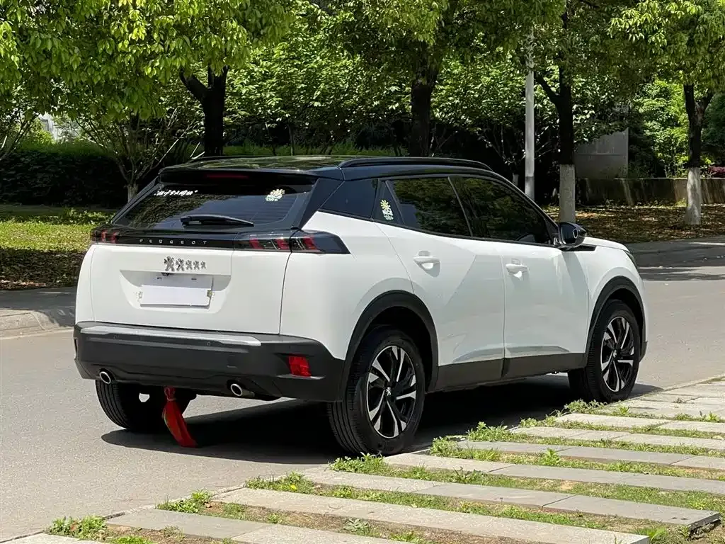 Peugeot 2008 2022 из CN, фото 7