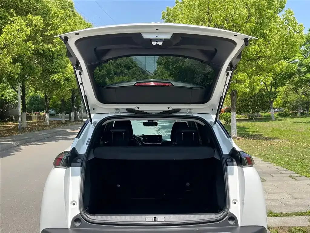 Peugeot 2008 2022 из CN, фото 9