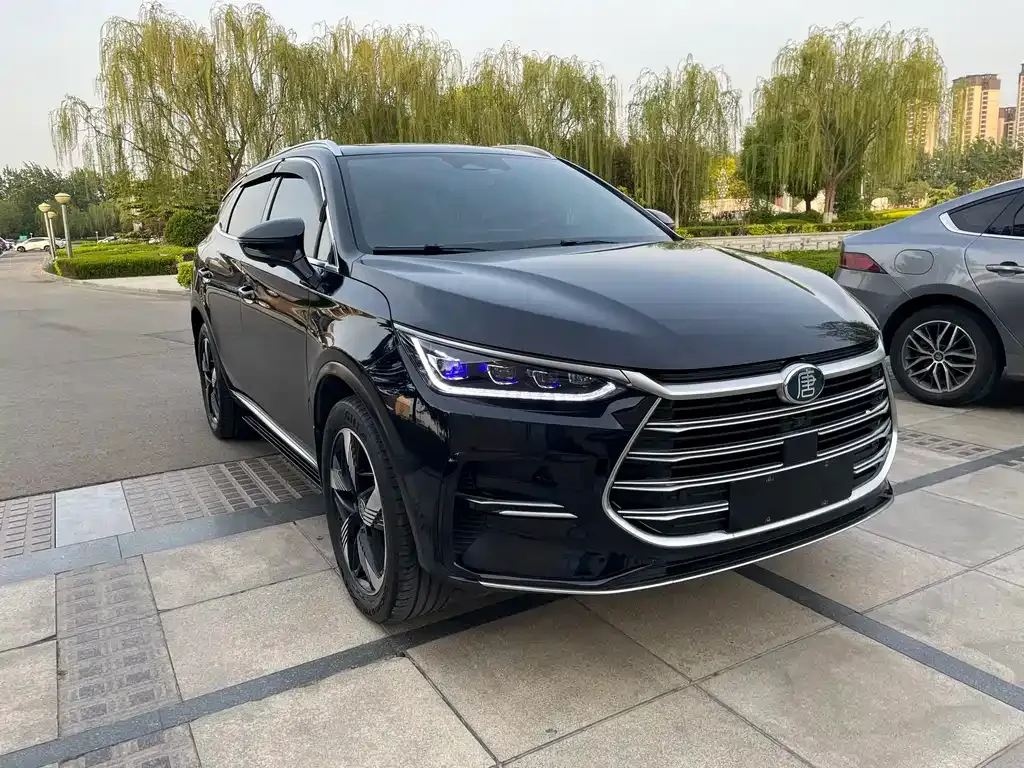 BYD Tang New Energy 2024 из CN, фото 6