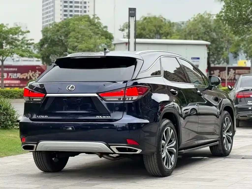 Lexus RX — фото 6