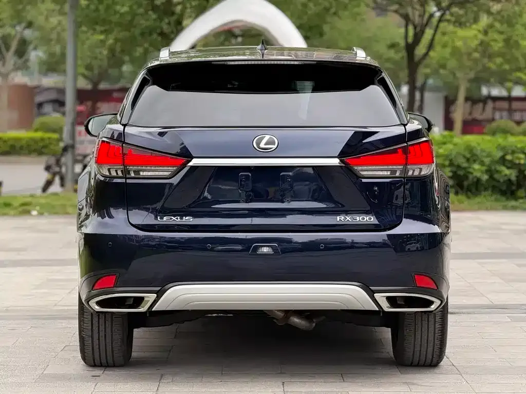 Lexus RX — фото 7