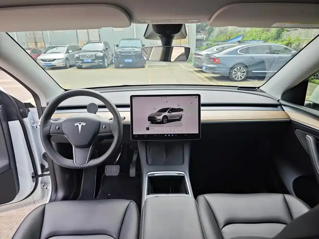 Tesla Model Y — фото 10