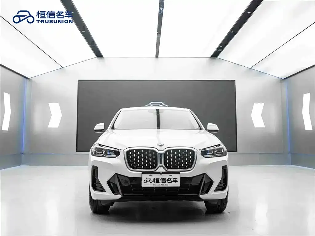 BMW X4 — фото 6