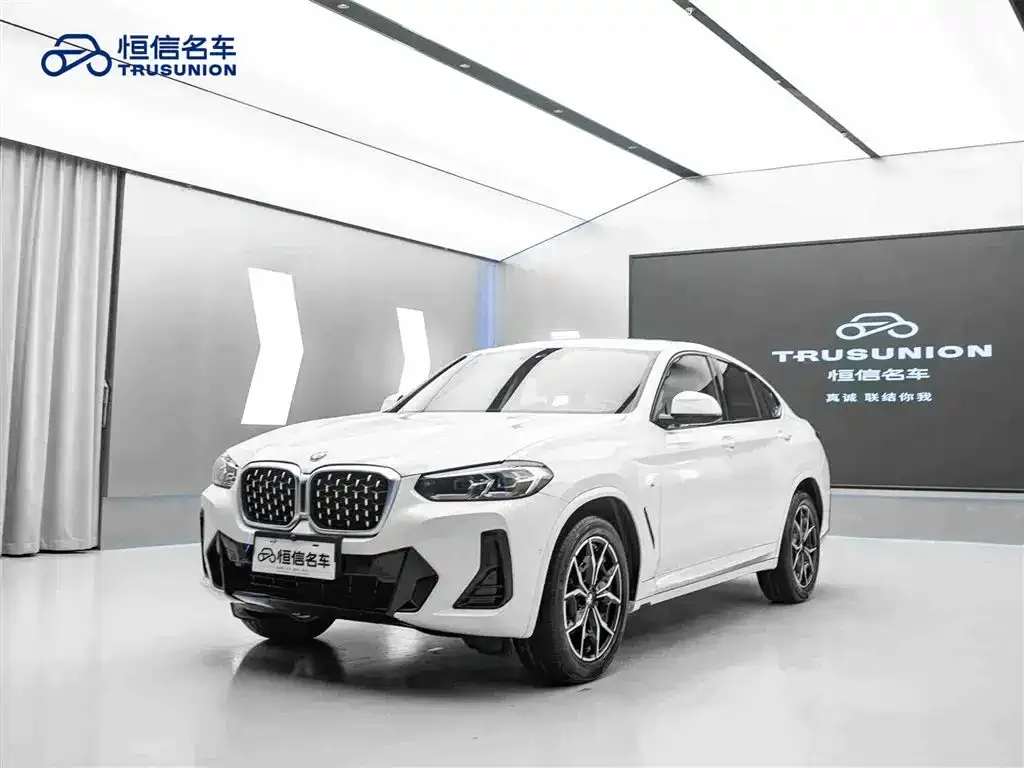 BMW X4 — фото 10