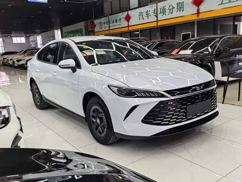 BYD Qin PLUS — фото 6