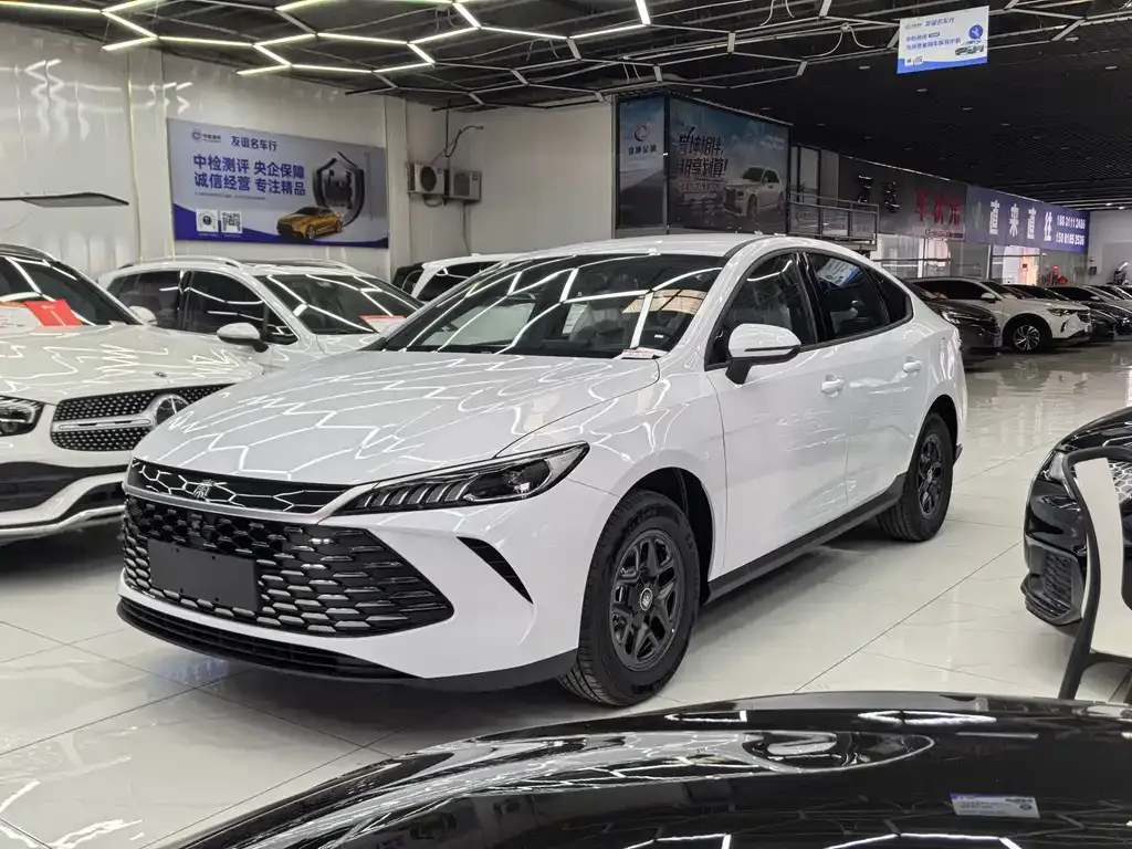 BYD Qin PLUS — фото 8