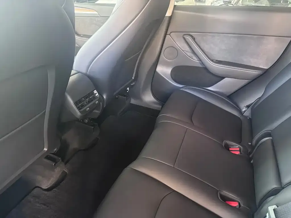 Tesla Model Y 2023 из CN, фото 6