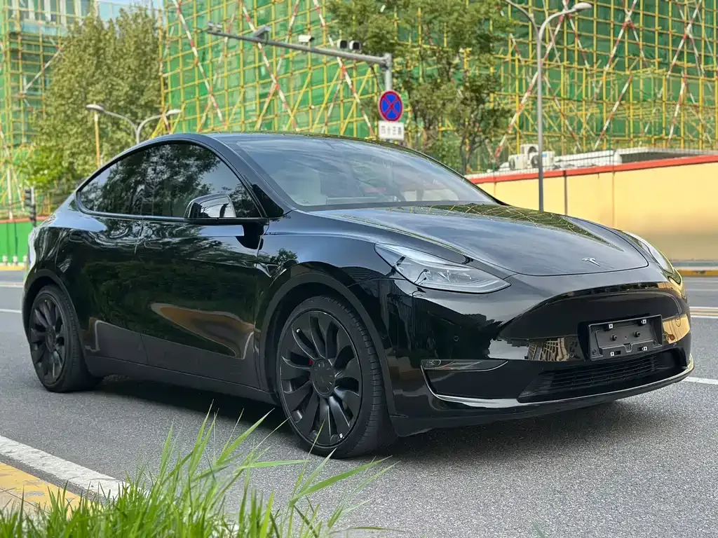 Tesla Model Y 2022 из CN, фото 6