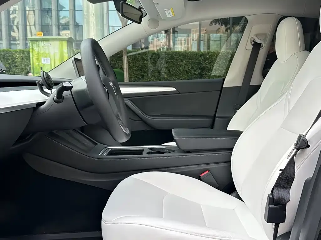 Tesla Model Y 2022 из CN, фото 9