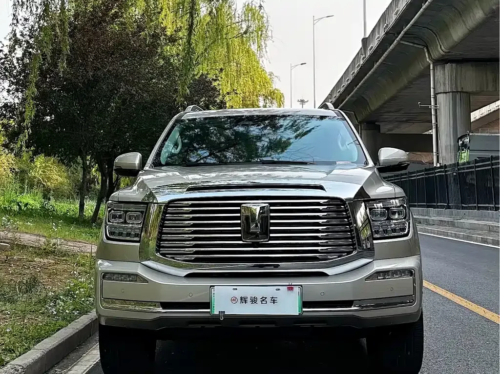 Tank 500 New Energy 2023 из CN, фото 8