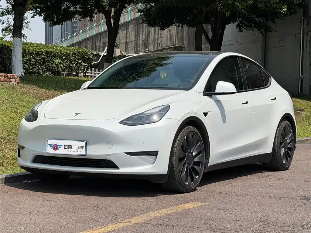 Tesla Model Y — фото 1