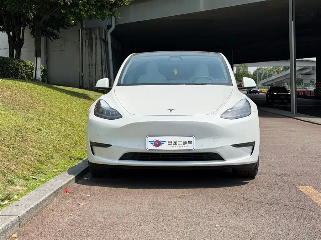 Tesla Model Y — фото 10