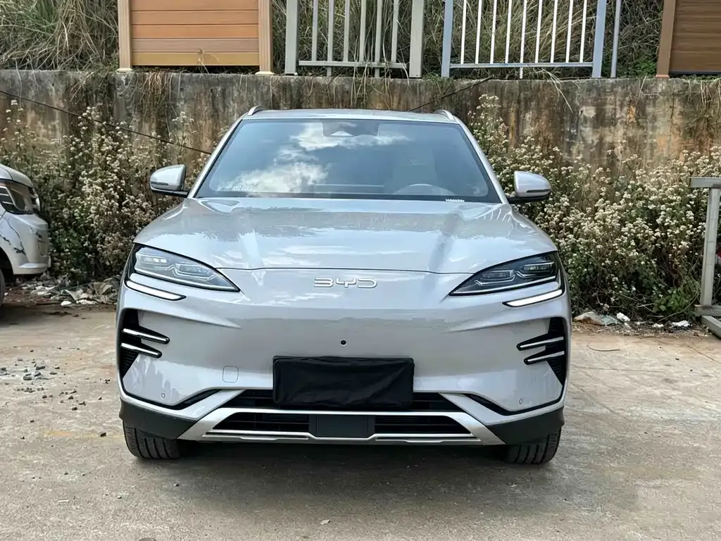BYD PLUS New Energy 2024 из CN, фото 5