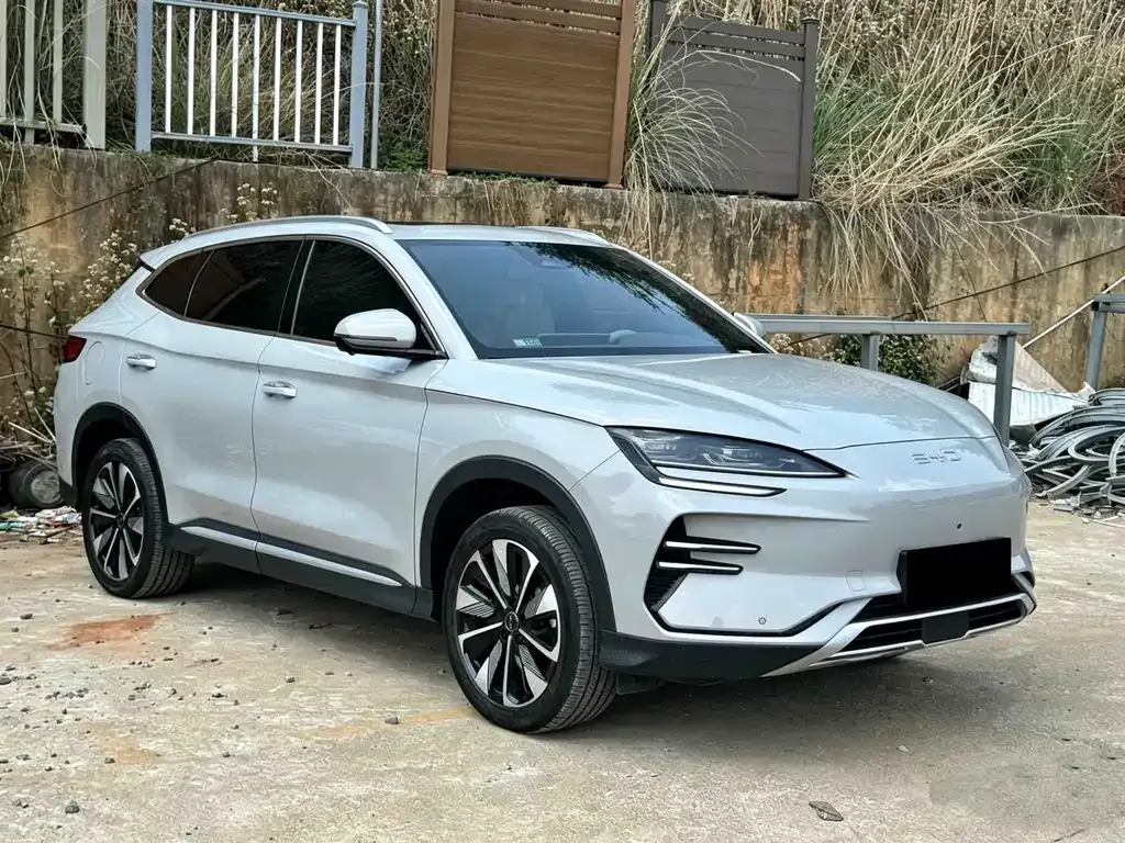 BYD PLUS New Energy 2024 из CN, фото 8