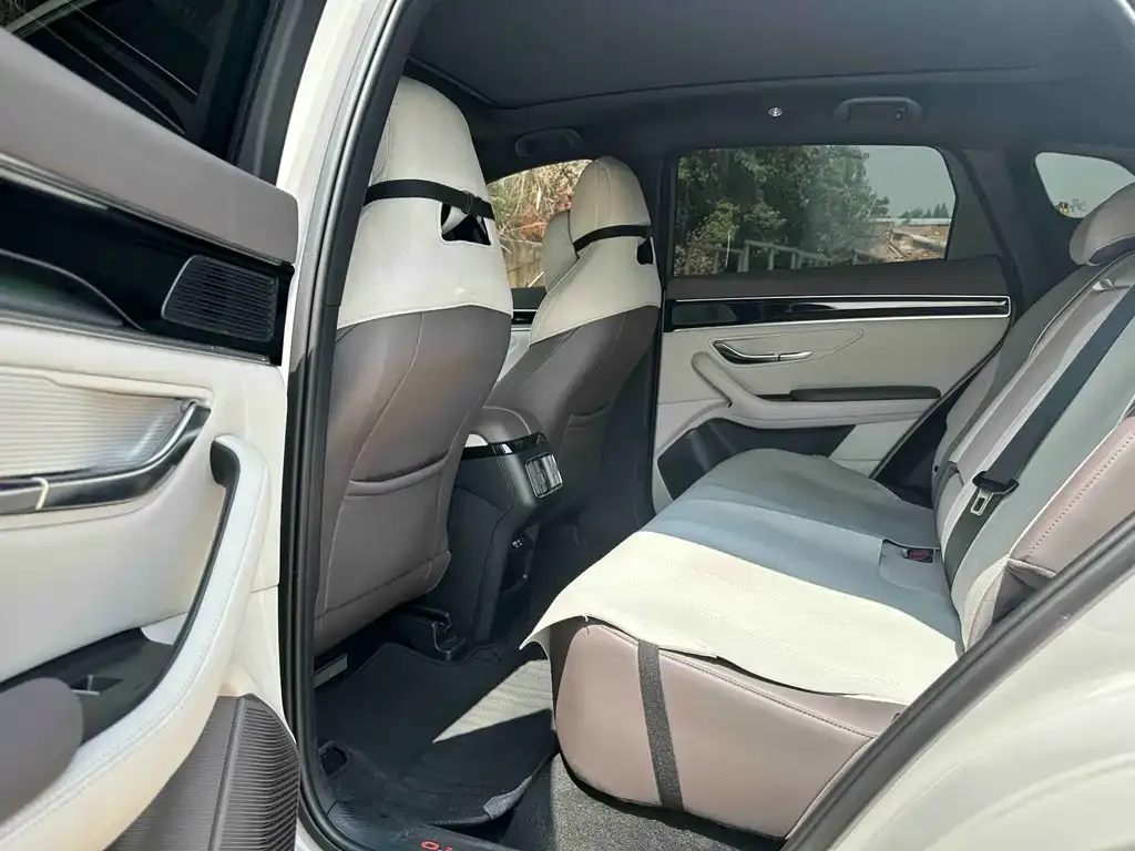 BYD PLUS New Energy 2024 из CN, фото 3