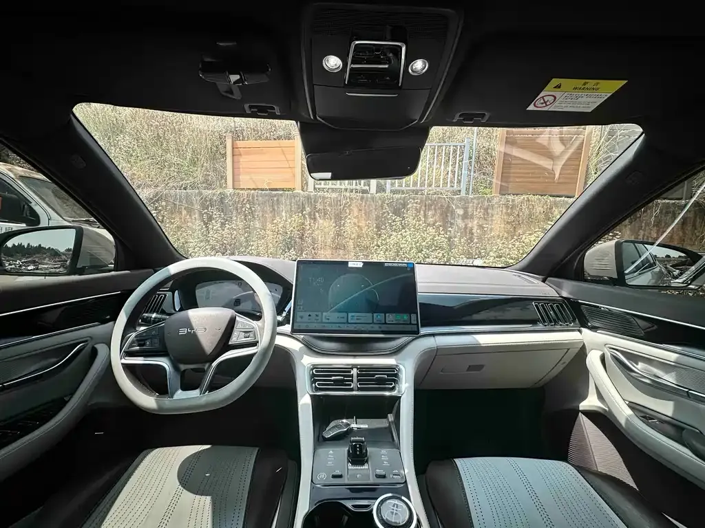 BYD PLUS New Energy 2024 из CN, фото 2
