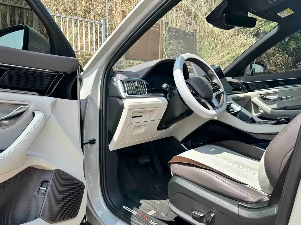 BYD PLUS New Energy 2024 из CN, фото 4