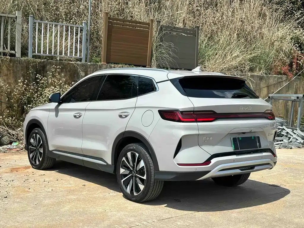 BYD PLUS New Energy 2024 из CN, фото 6
