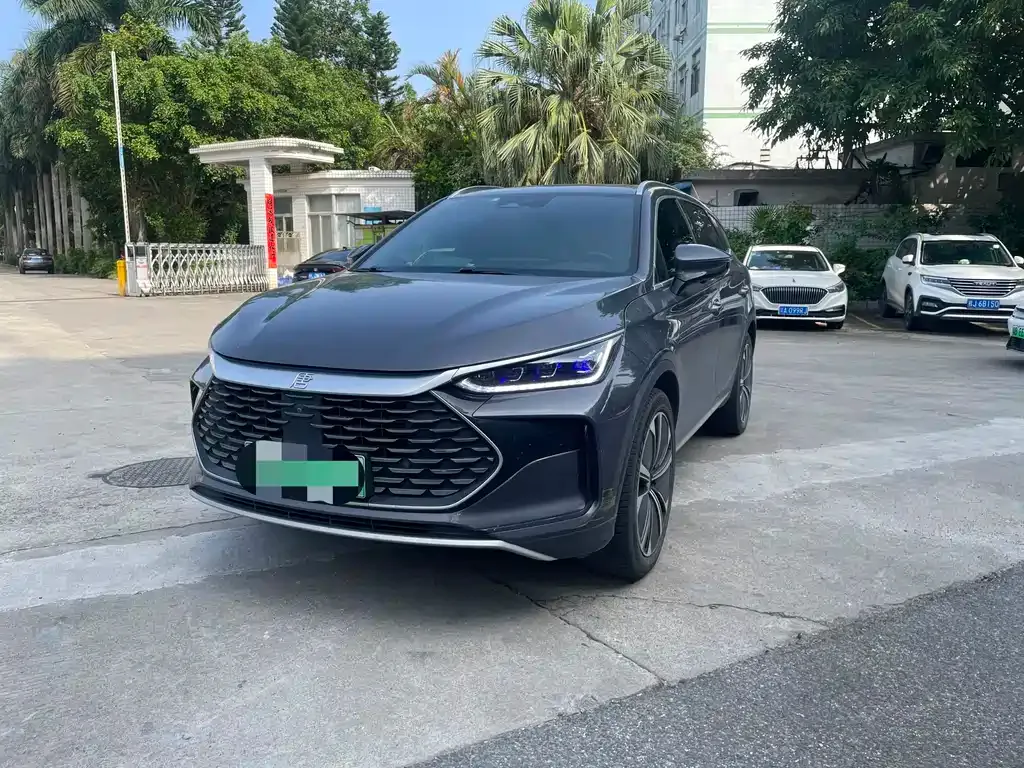 BYD Tang New Energy 2023 из CN, фото 1