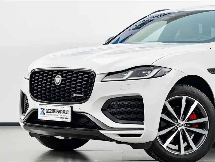 Jaguar F-PACE — фото 10