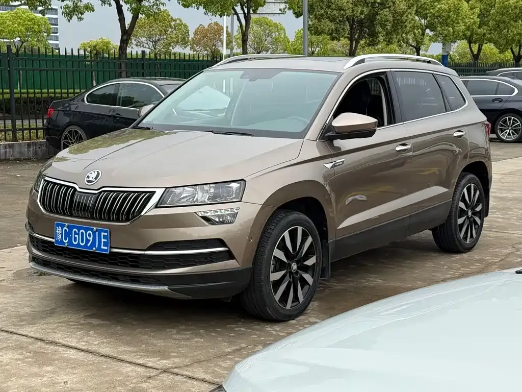 Skoda Karoq 2021 из CN, фото 7