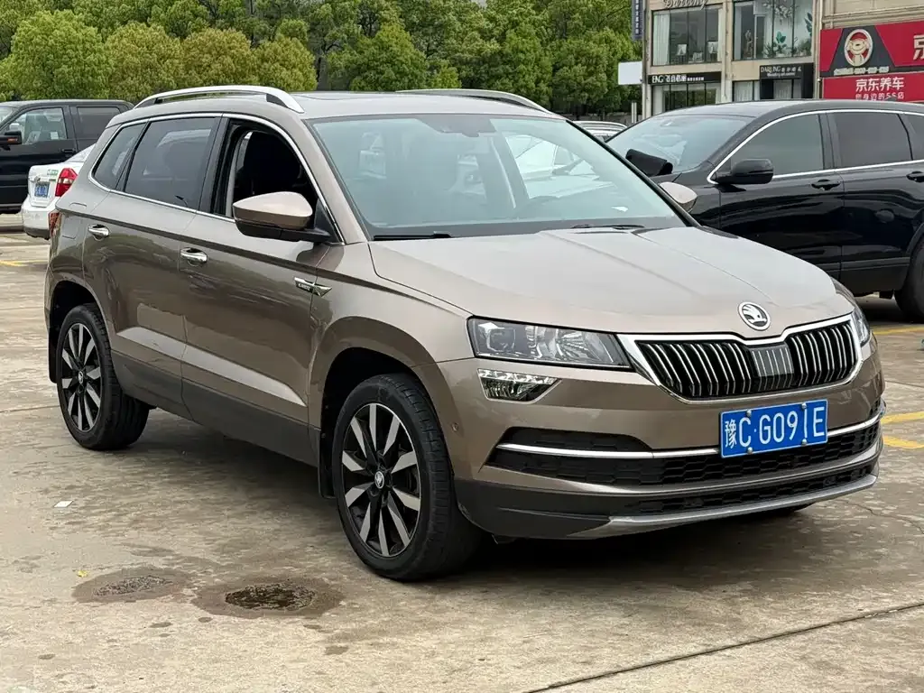 Skoda Karoq 2021 из CN, фото 8