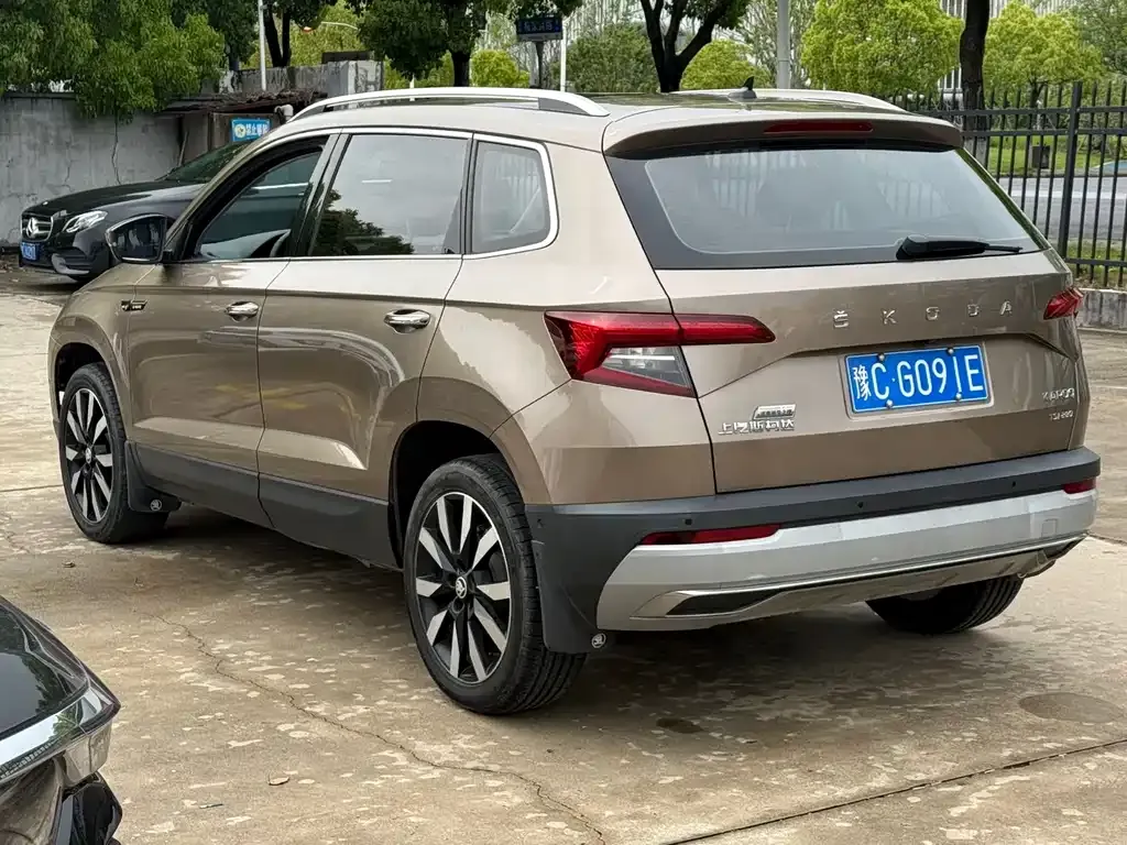 Skoda Karoq 2021 из CN, фото 2