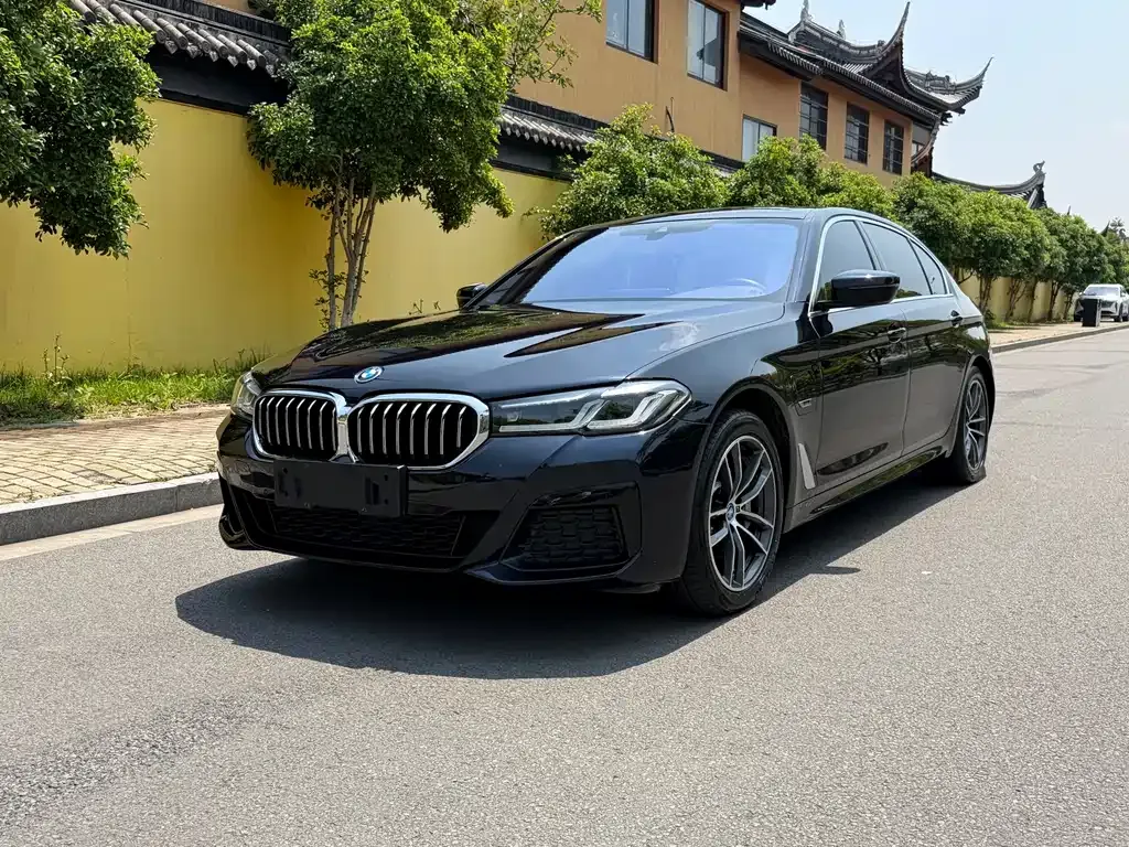 BMW 5 Series New Energy