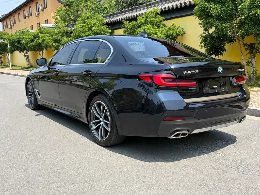 BMW 5 Series New Energy 2022 из CN, фото 8