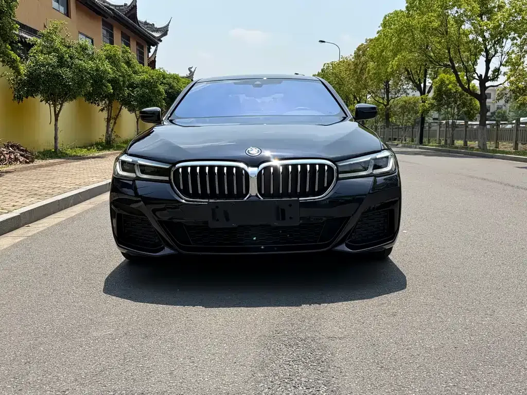 BMW 5 Series New Energy 2022 из CN, фото 7