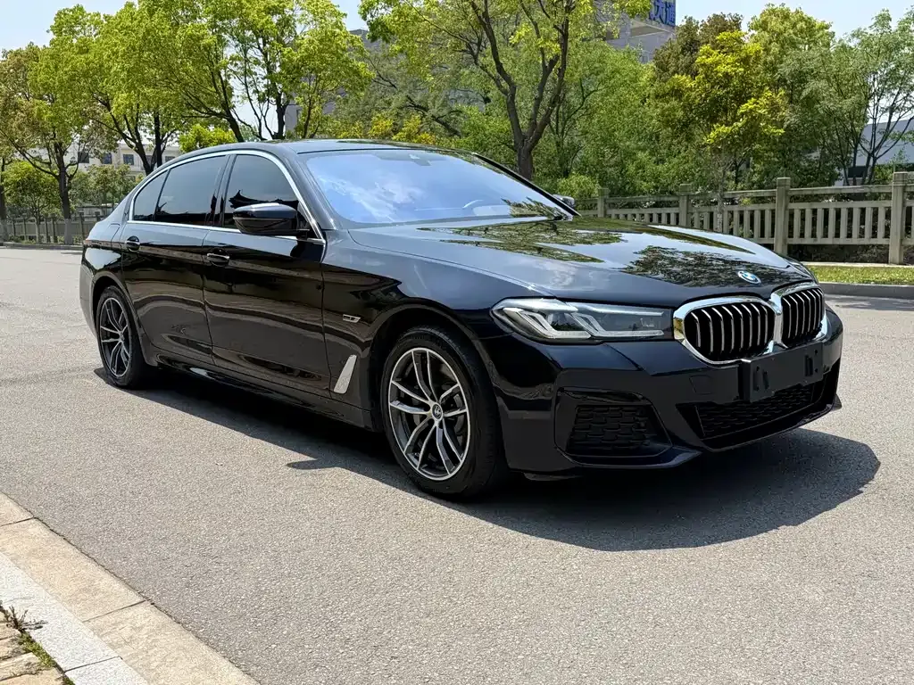BMW 5 Series New Energy 2022 из CN, фото 9