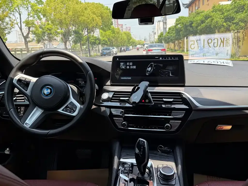 BMW 5 Series New Energy 2022 из CN, фото 2
