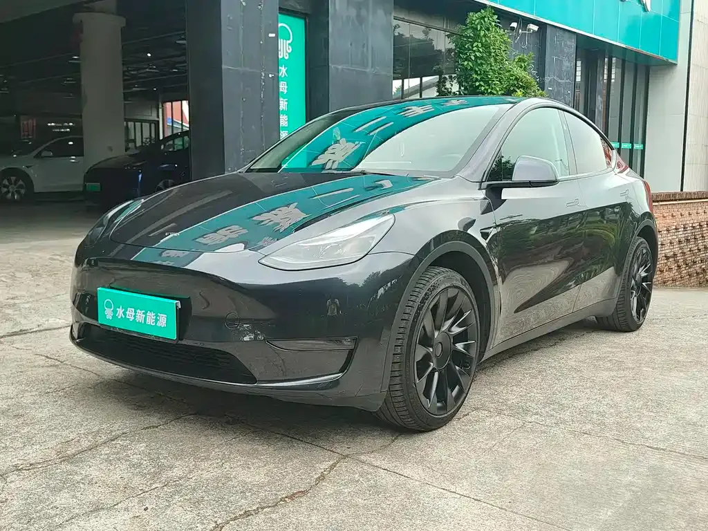 Tesla Model Y — фото 1