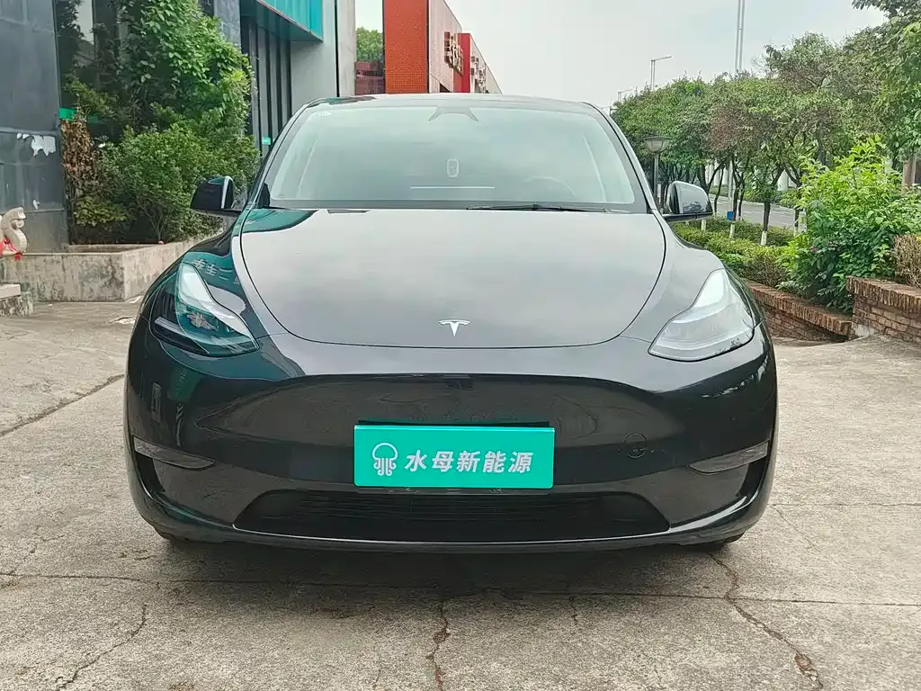 Tesla Model Y — фото 8