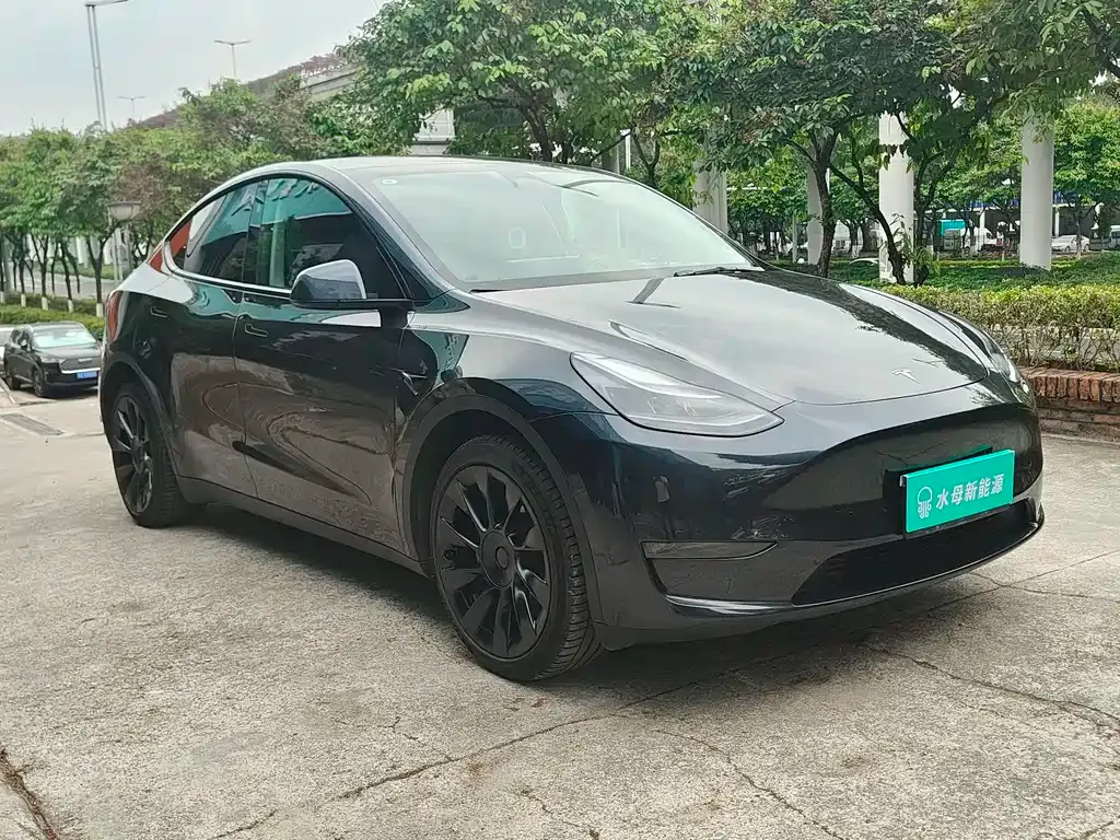 Tesla Model Y — фото 9