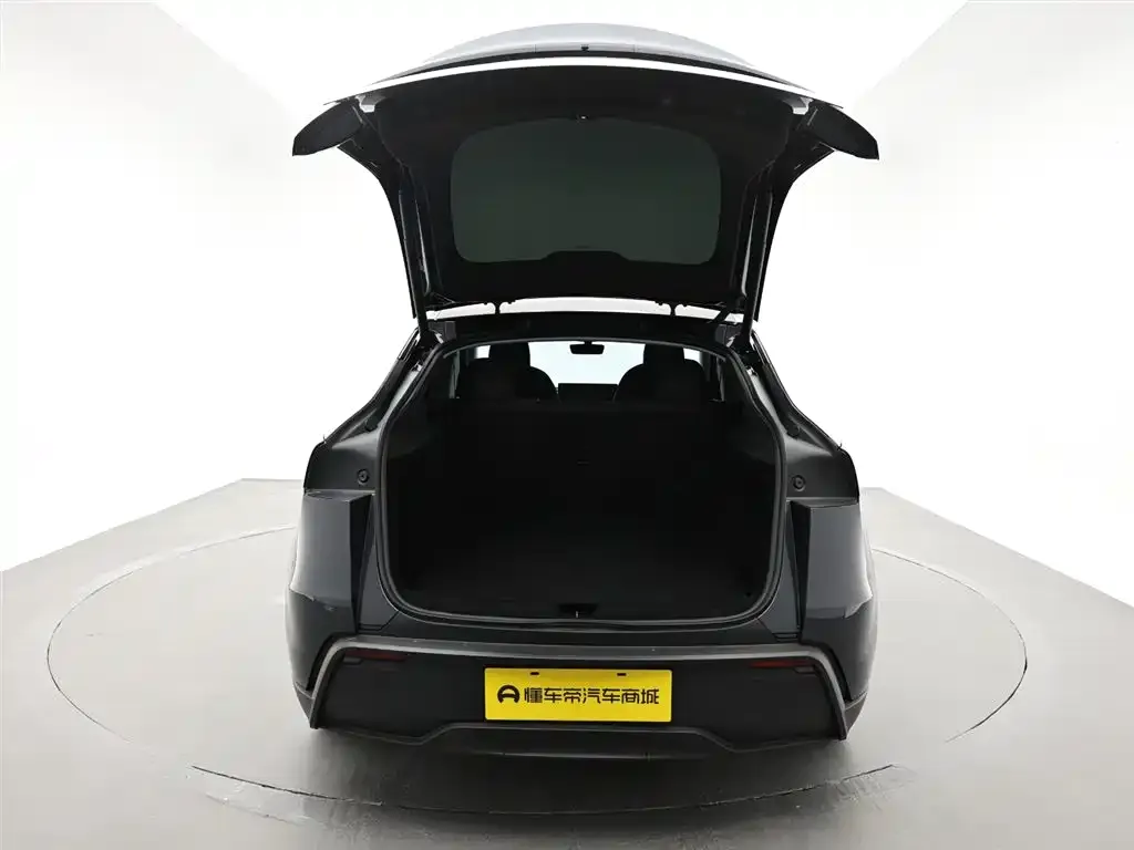 Tesla Model Y — фото 5