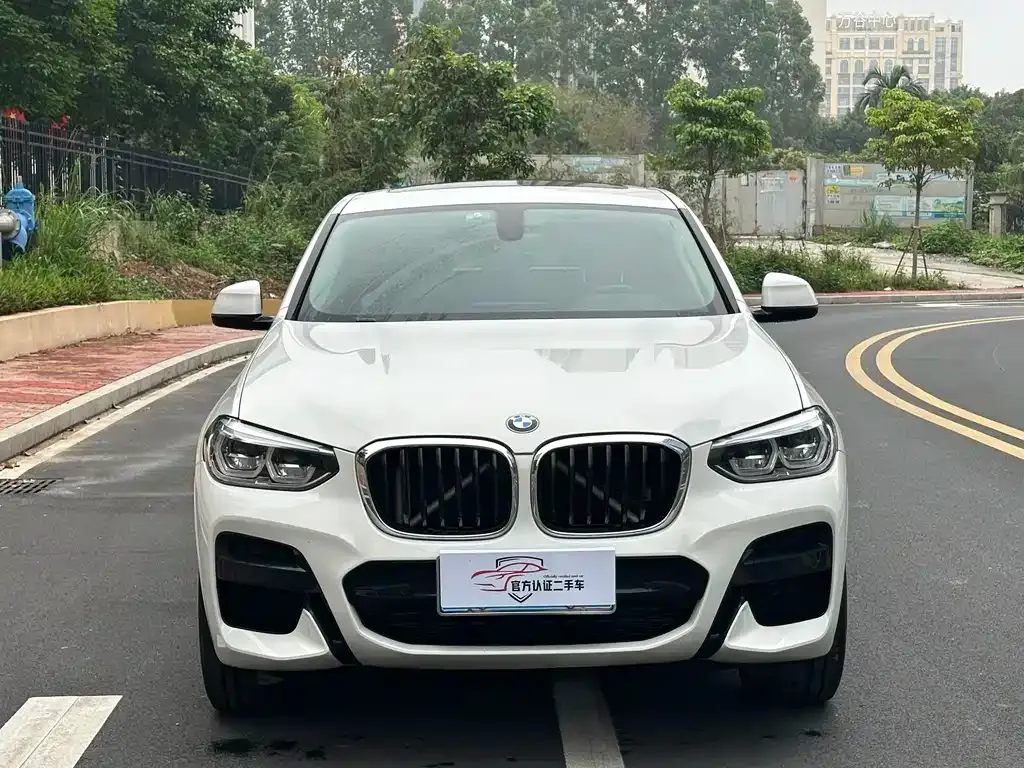 BMW X4 2021 из CN, фото 4
