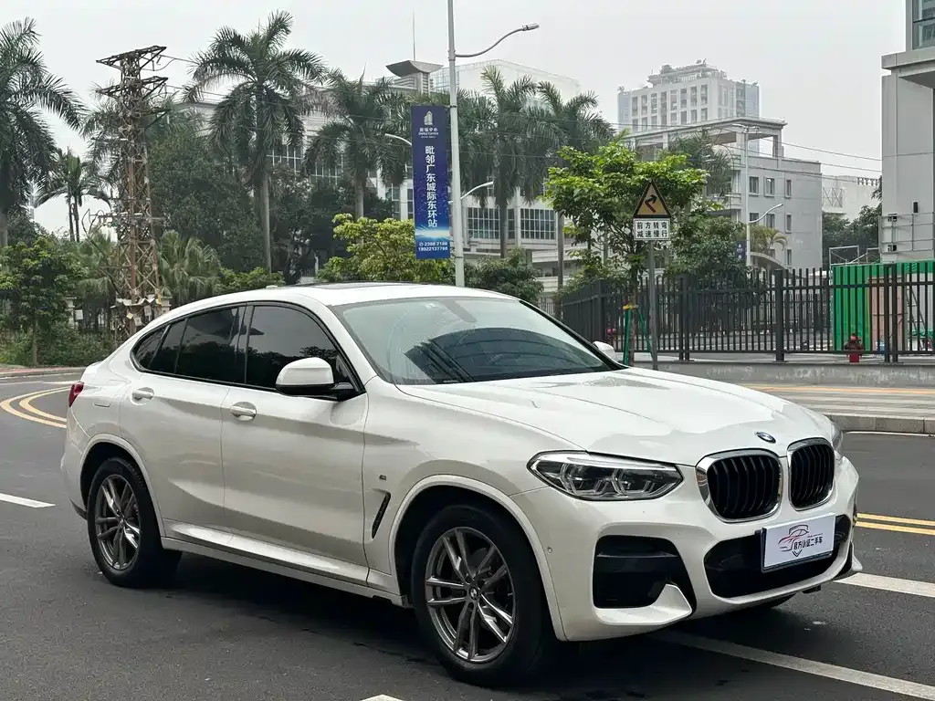 BMW X4 2021 из CN, фото 8
