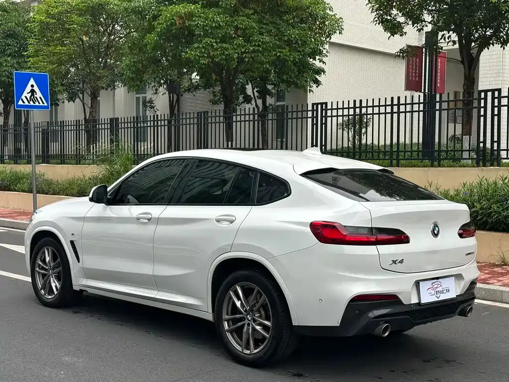 BMW X4 2021 из CN, фото 10